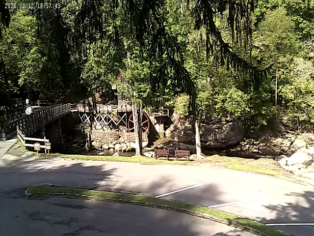 Live camera feed of Babcock State Park