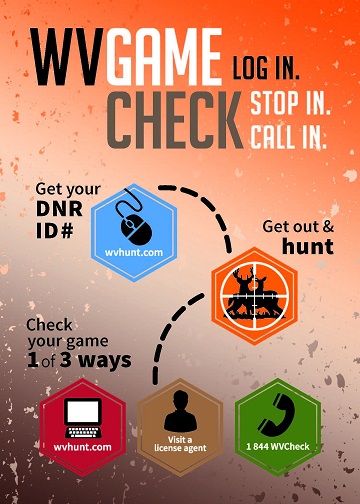 web-electronic-game-checking-procedure-graphic