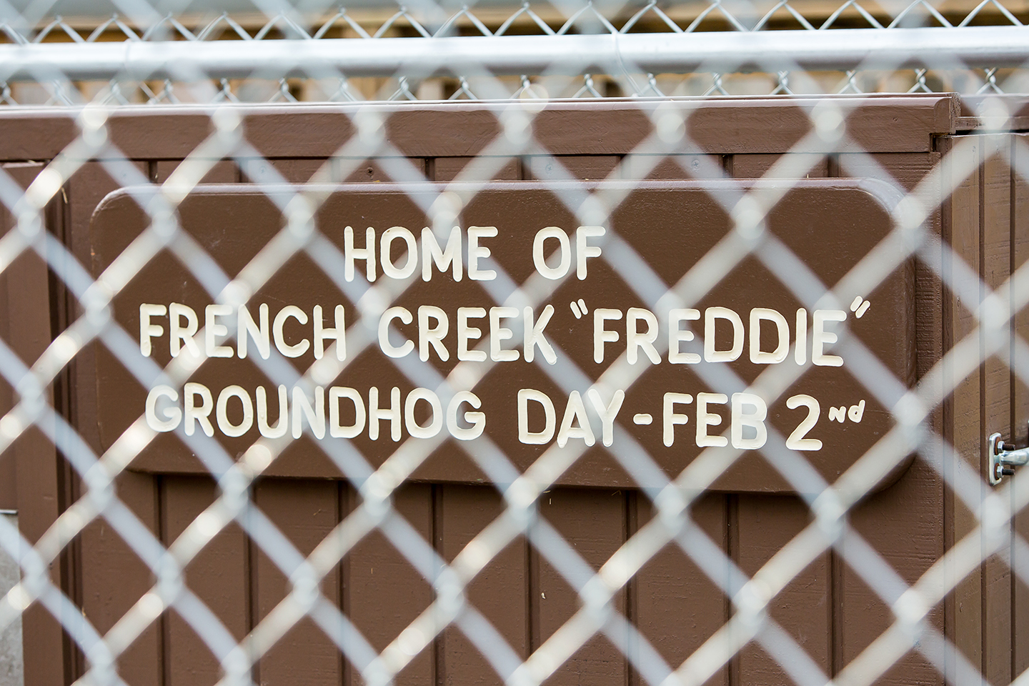 French Creek Freddie Facts To Get You Ready For Groundhog Day