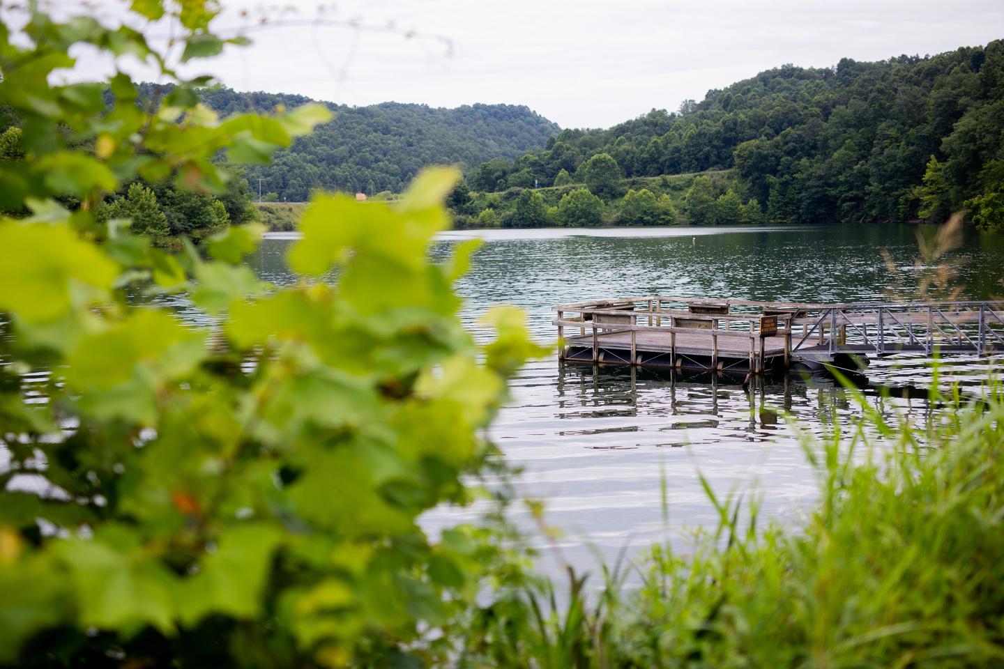 Here's the No. 1 bass fishing lake in WV. And it has great hunting too! -  WVDNR