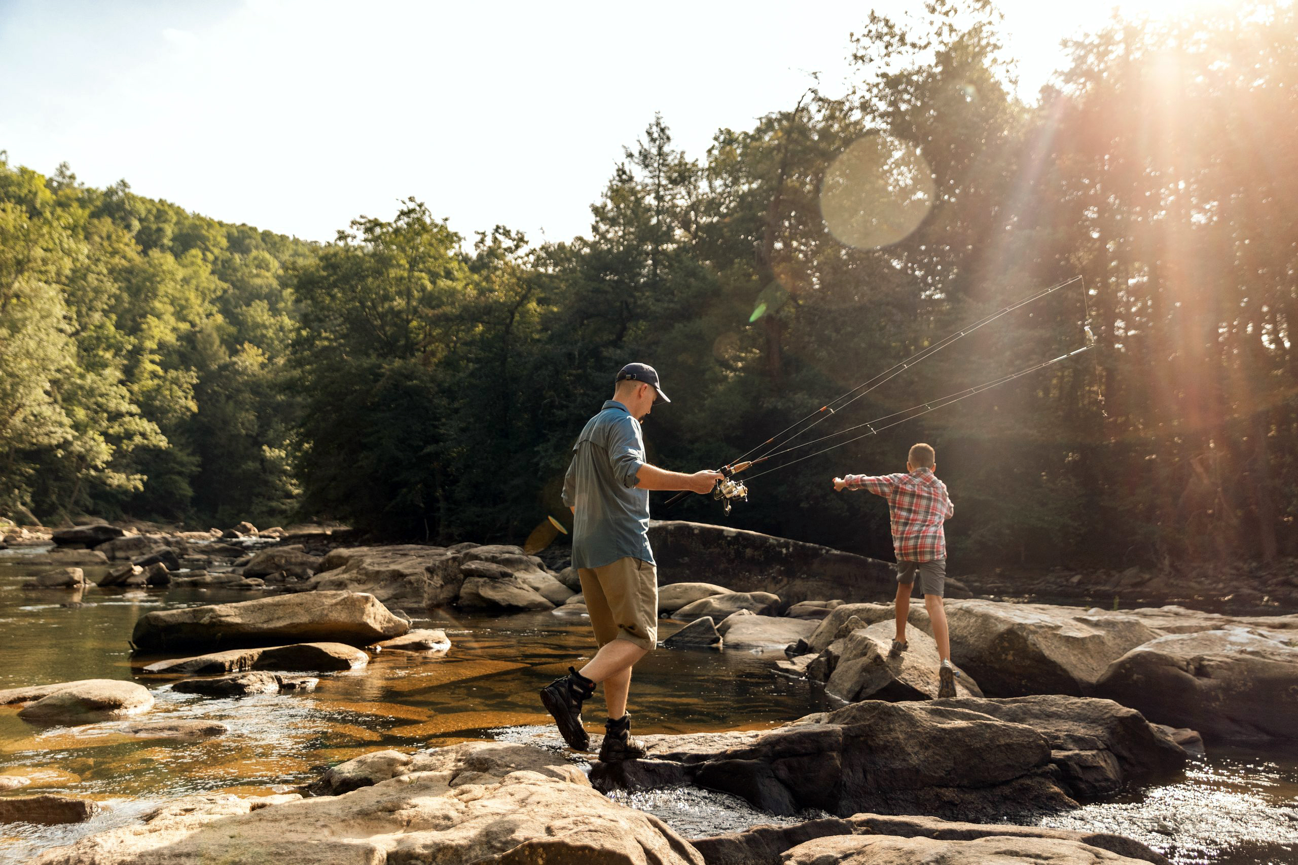 Wv Daily Trout Stocking