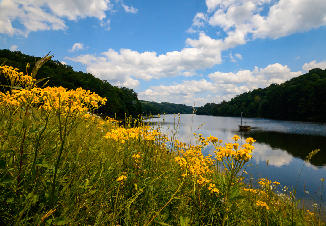 West Virginia Wildlife Management Areas (WMAs) Information