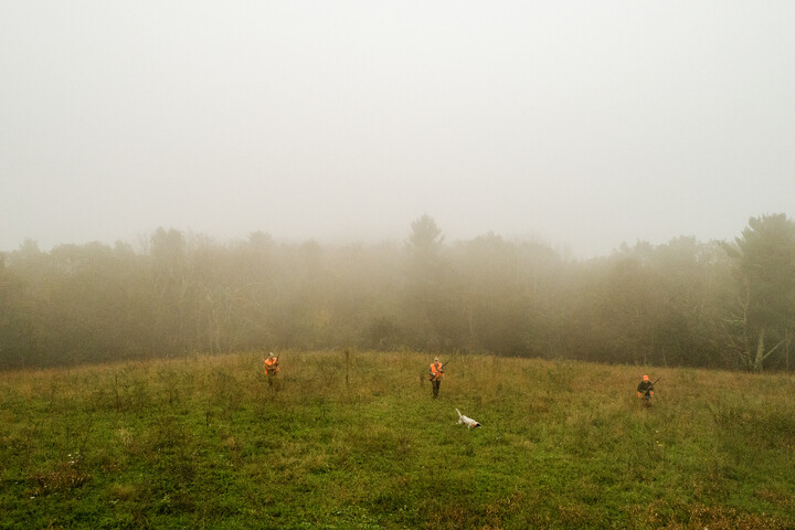 Three hunters and a hound in the morning mist