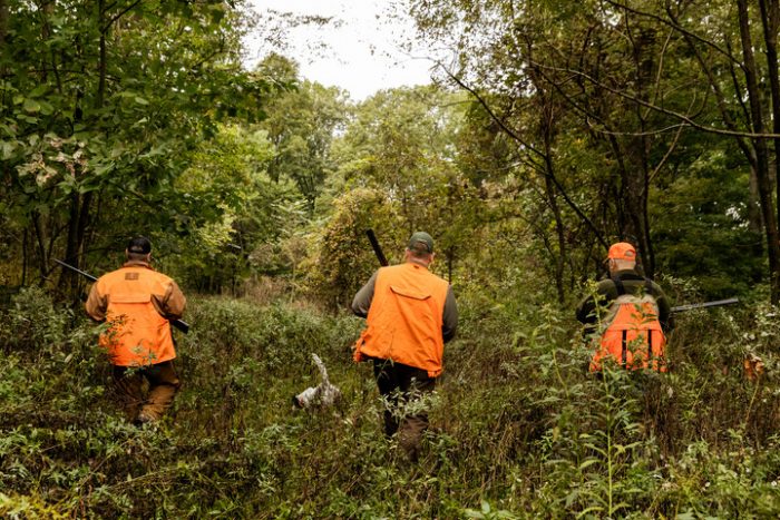 Three hunters and a dog patrol the undergrowth hoping to flush out some game