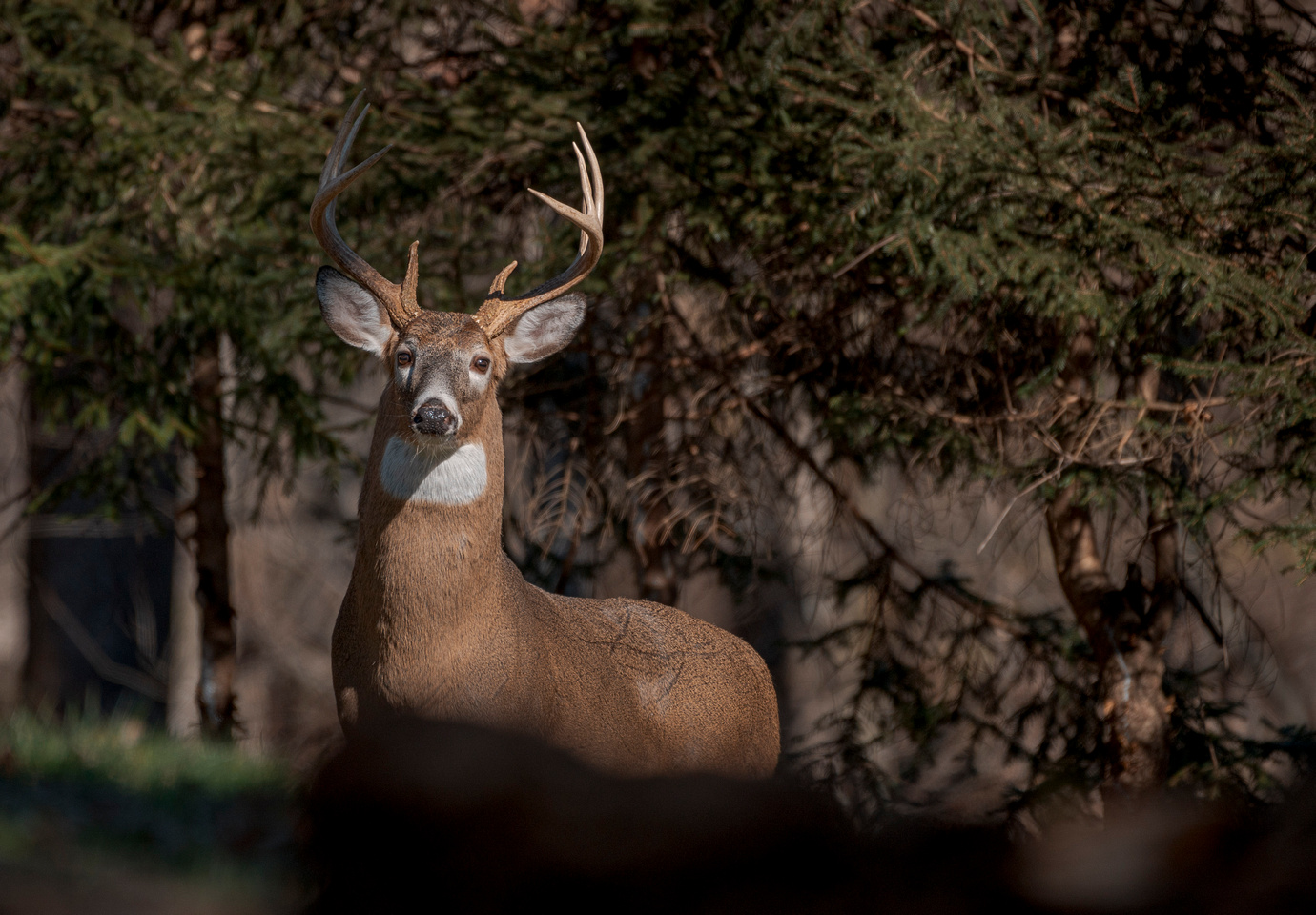Archery/crossbow seasons open Sept. 25. Get ready with this checklist.