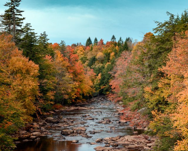 Trout stockings return to West Virginia lakes and streams Oct. 18