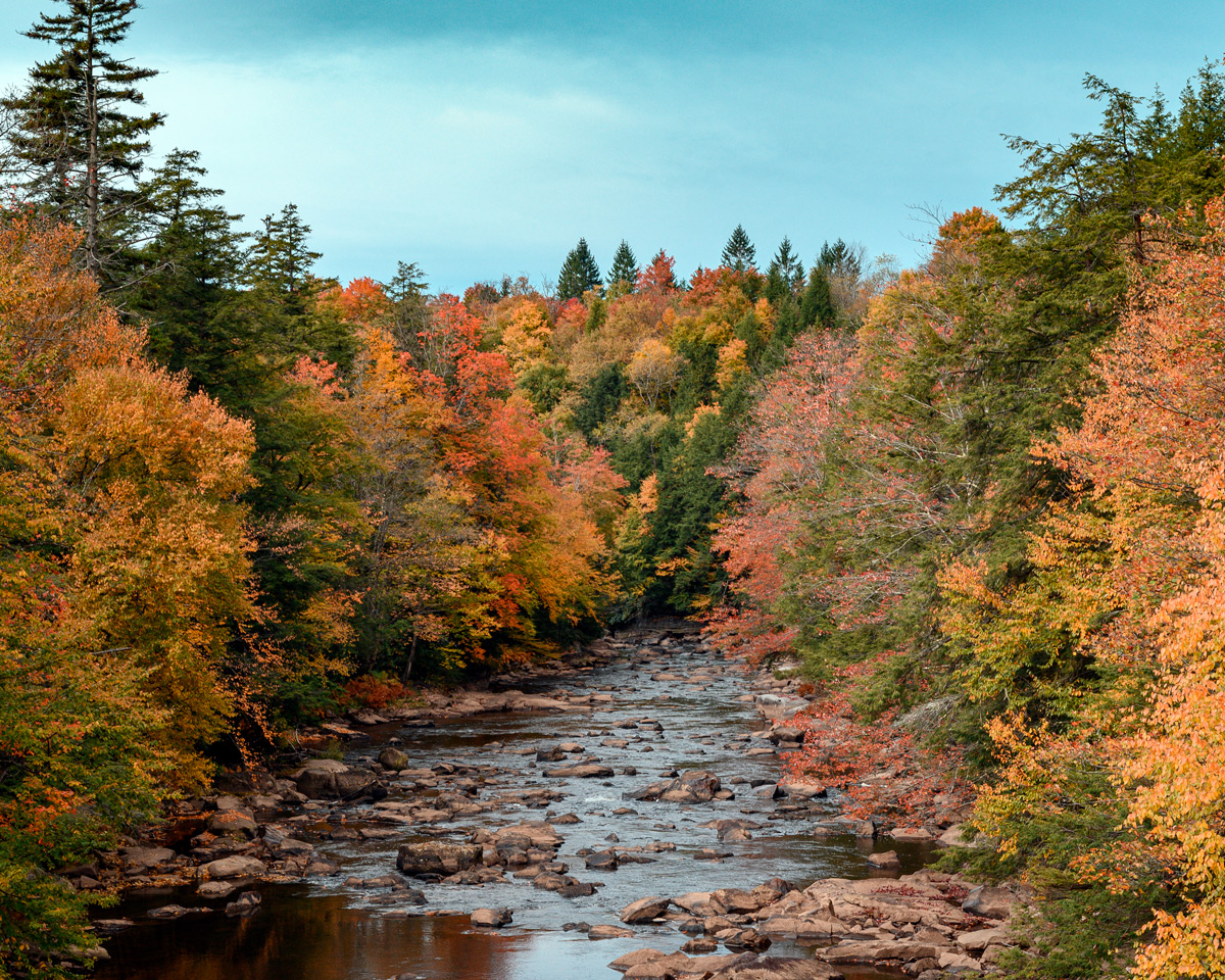 Trout Stockings Return To West Virginia Lakes And Streams Oct. 18