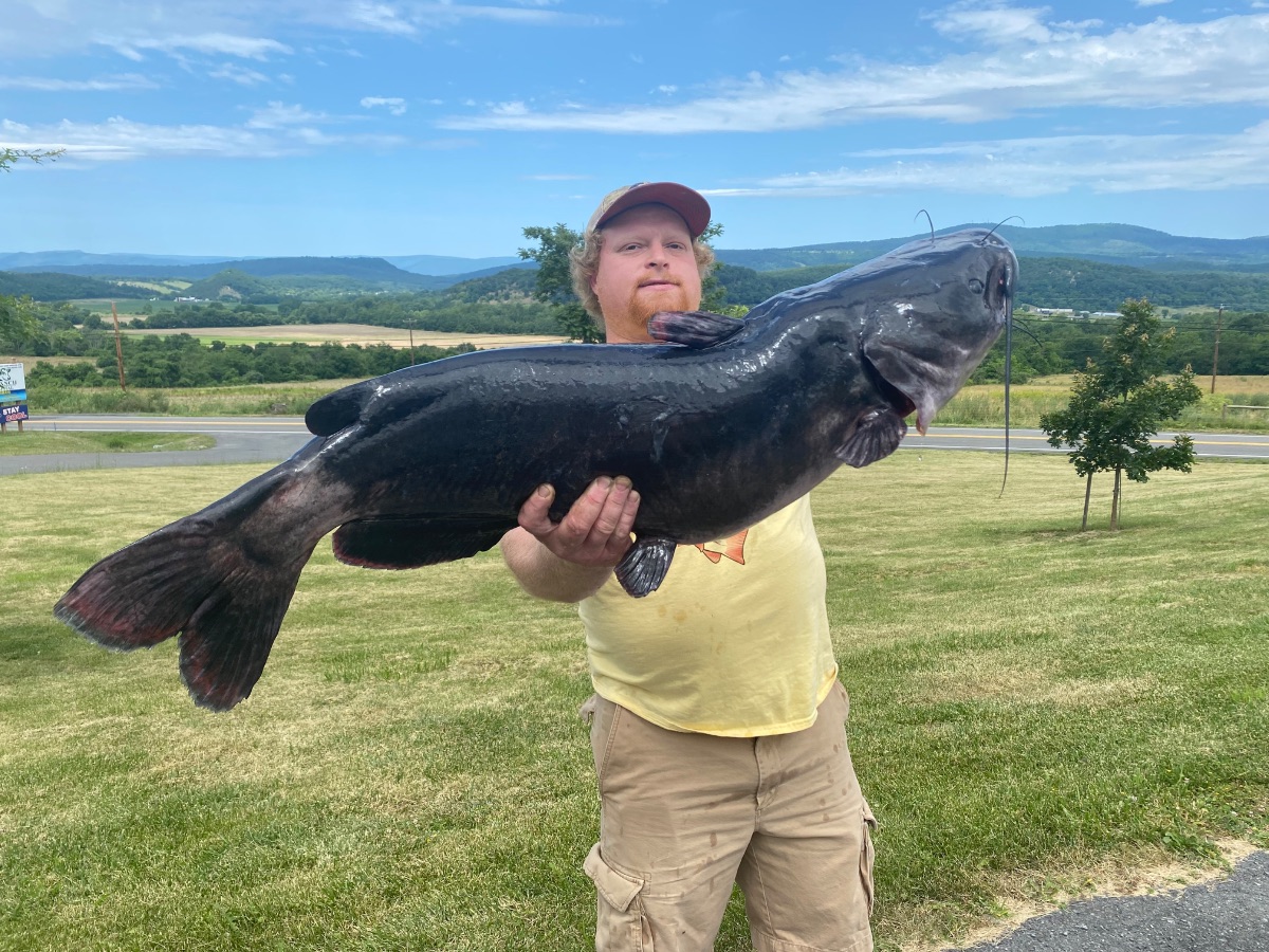 Angler breaks West Virginia's long-standing channel catfish record - WVDNR