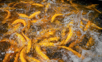 West Virginia Gold Rush Returns March 30