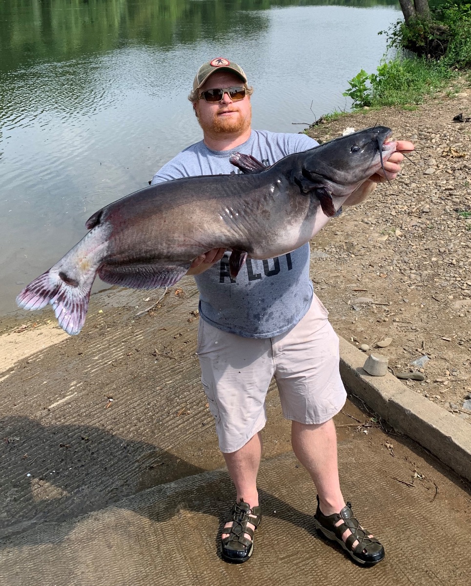 WV angler catches state record channel catfish 2 years in a row - WVDNR