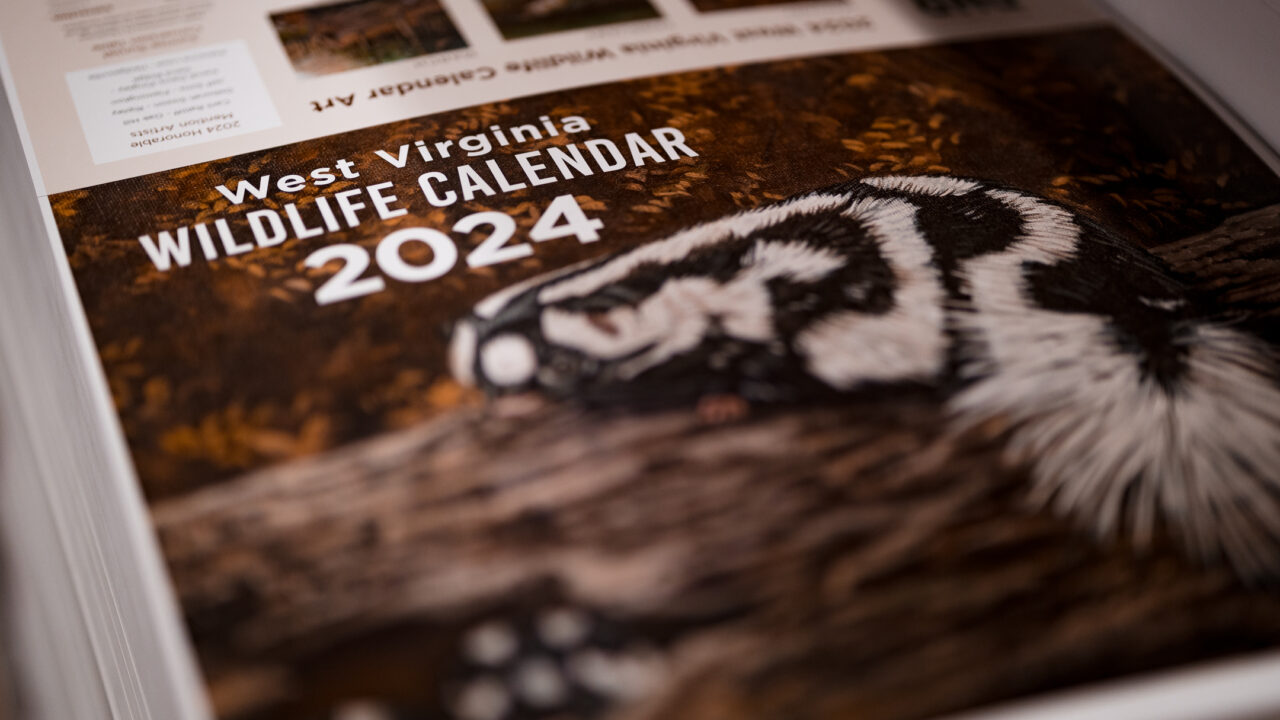Get a behind the scenes look at how the 2024 WV Wildlife Calendar was