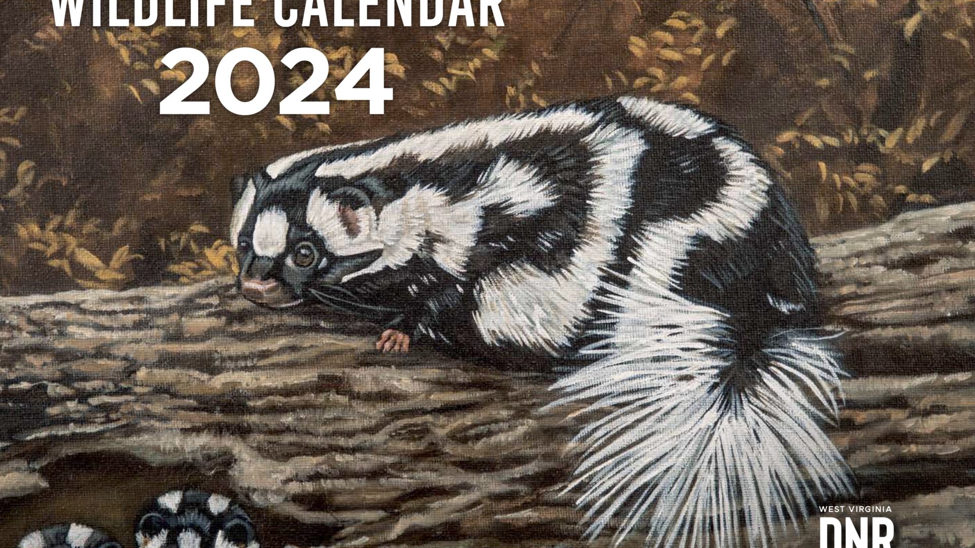 2024 West Virginia Wildlife Calendar now available to purchase WVDNR