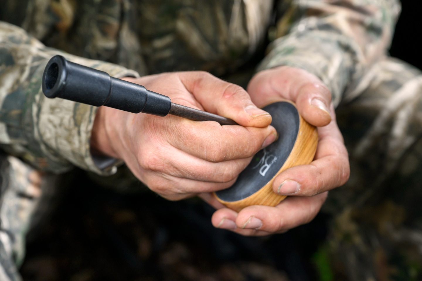 Your guide to fall turkey season in West Virginia WVDNR