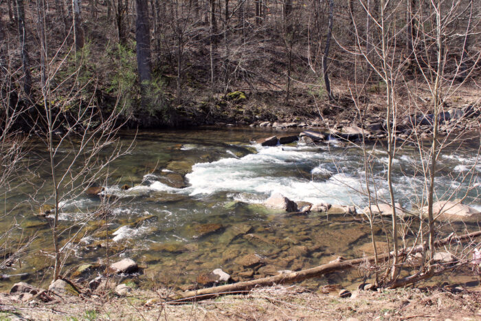 New Trout Stockings Coming to Elk River in Webster County! - WVDNR