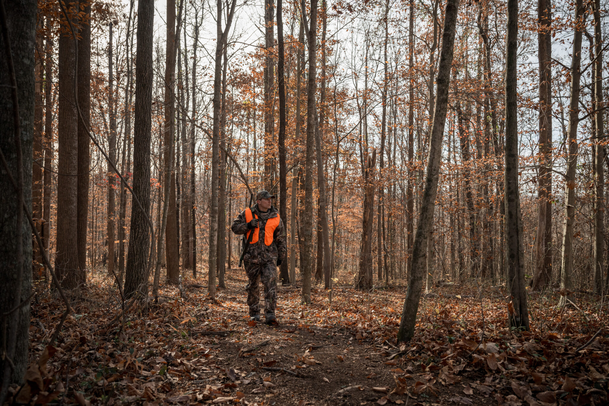 WVDNR announces starts of December deer, bear hunting seasons WVDNR