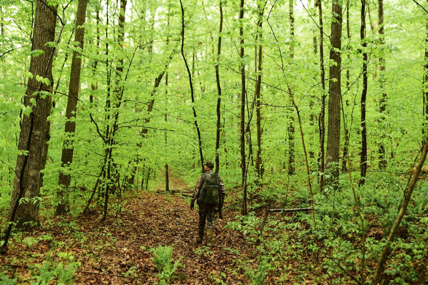 Spring gobbler season arrives April 15 in West Virginia WVDNR