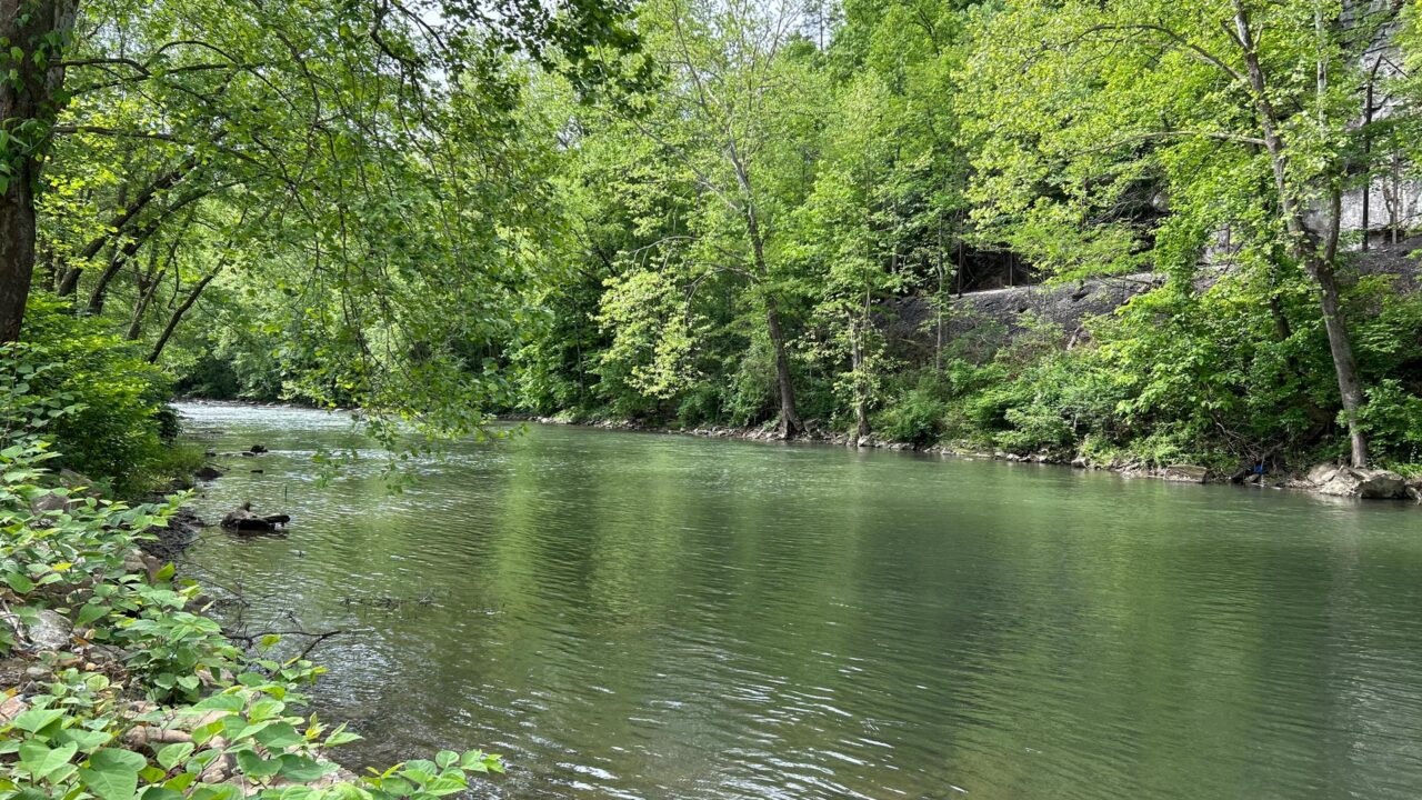 WVDNR opens new public stream access site in Pineville - WVDNR