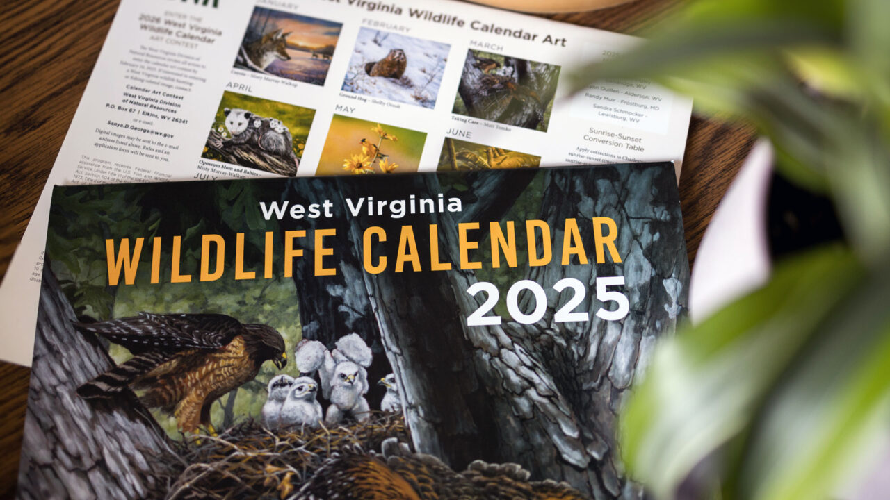 Wildlife Calendar WVDNR