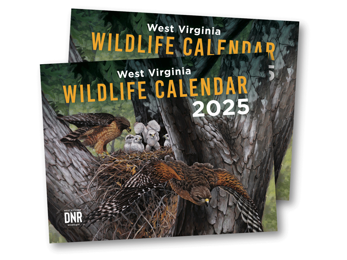Wildlife Calendar WVDNR
