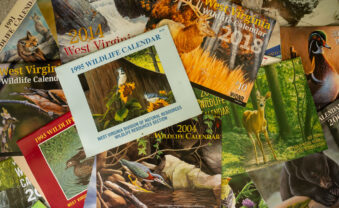 WVDNR seeks art for West Virginia Wildlife Calendar Contest