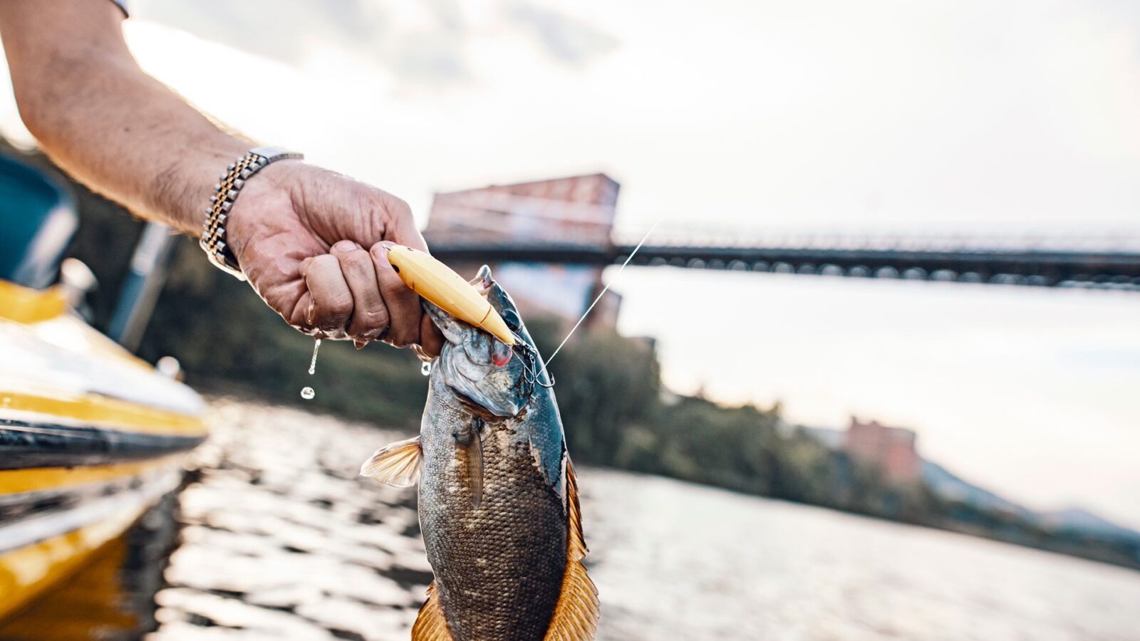How to Use West Virginia's Updated Fishing Regulations Summary