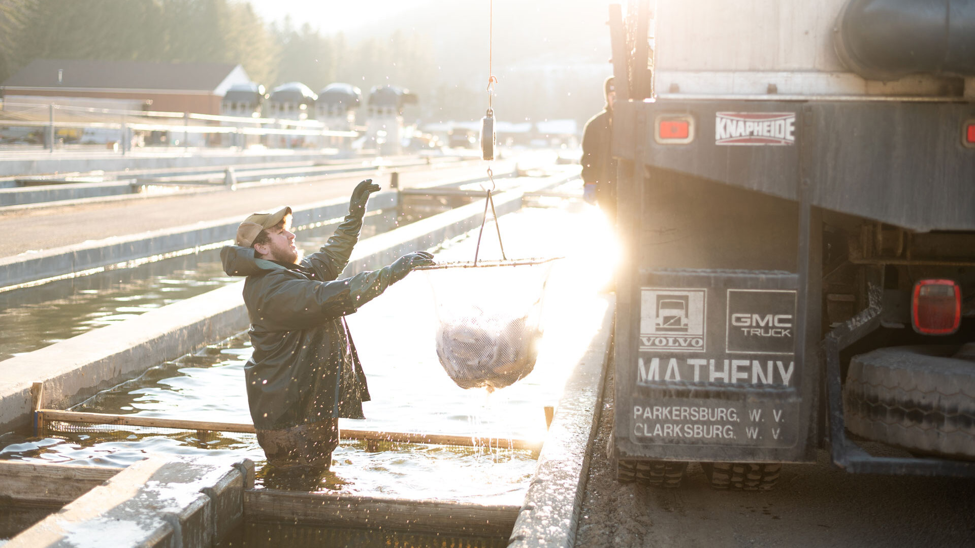 WVDNR stocks 24 waters during week of Jan. 13 - WVDNR