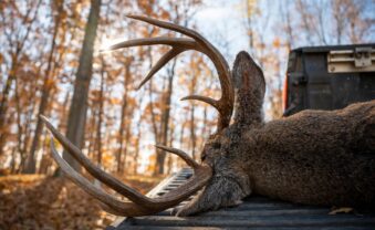 WVDNR Reports Buck Firearms Season Harvest Numbers