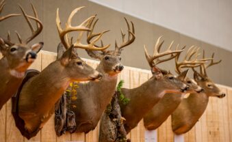 WVDNR to sponsor West Virginia Hunting and Fishing Show