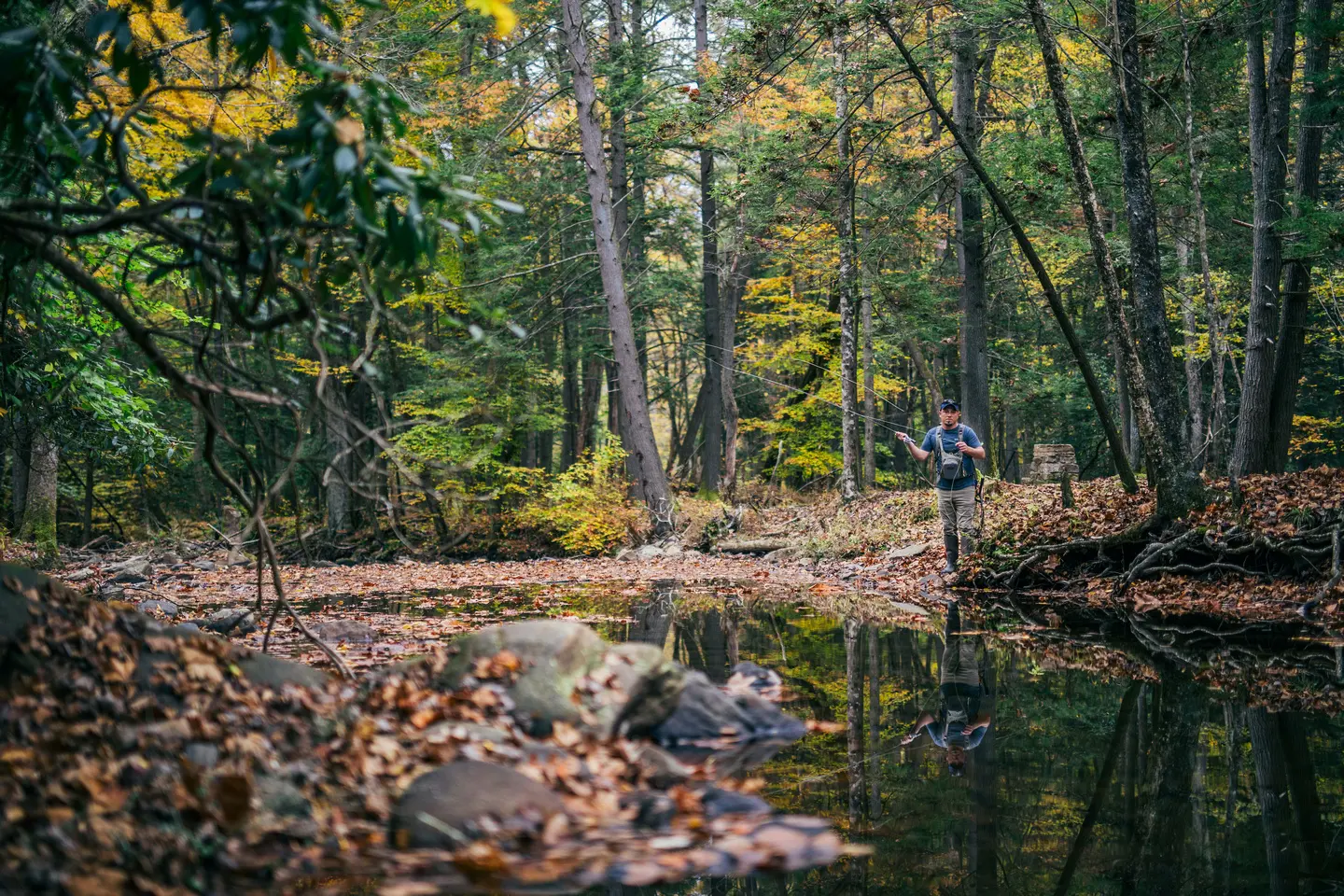 Person fly fishing in a forest stream surrounded by autumn foliage