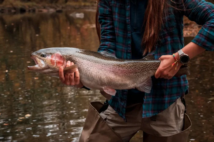 Person holding a large trout while standing in a river wearing waders