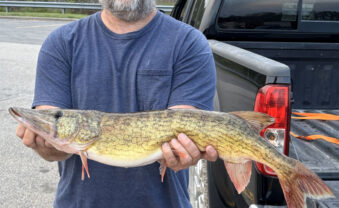 Reedsville man catches record chain pickerel
