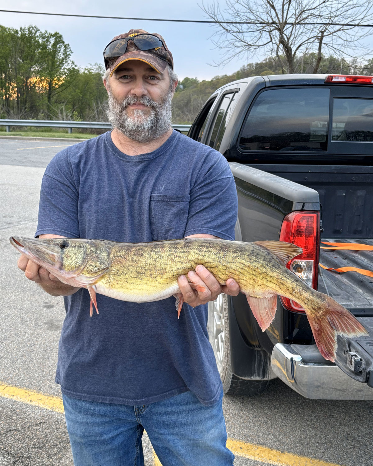 Reedsville man catches record chain pickerel - WVDNR